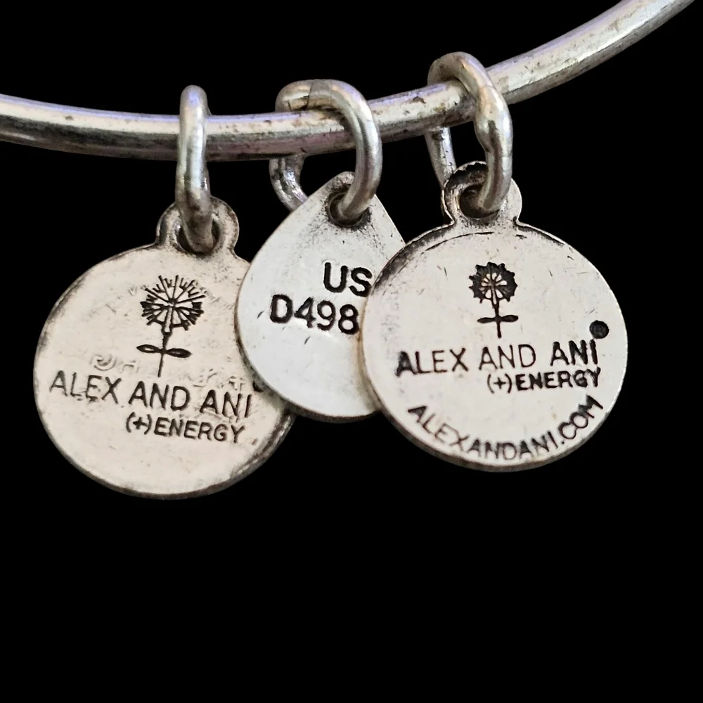 Alex and Ani Crystal Skeleton Key Charm Bangle in Silver-Tone Brass